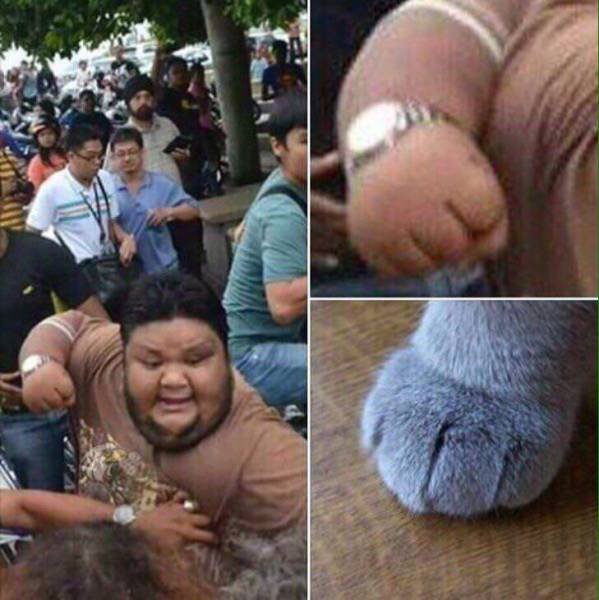 Bildschirmarbeiter - Picdump 03.11.2017