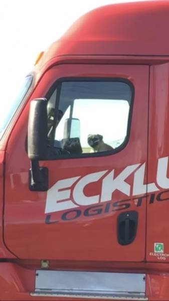 Bildschirmarbeiter - Picdump 03.11.2017