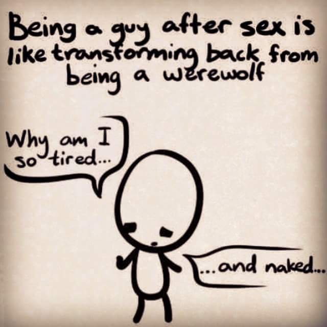 Bildschirmarbeiter - Picdump 03.11.2017