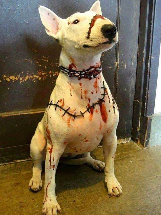 Bildschirmarbeiter - Picdump 03.11.2017