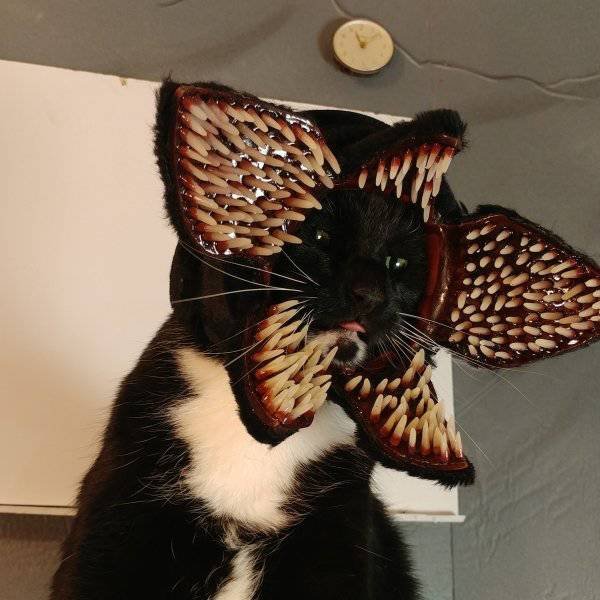 Bildschirmarbeiter - Picdump 10.11.2017