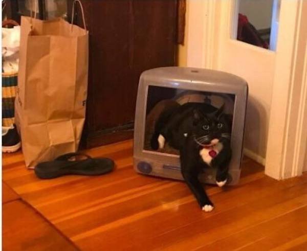 Bildschirmarbeiter - Picdump 10.11.2017