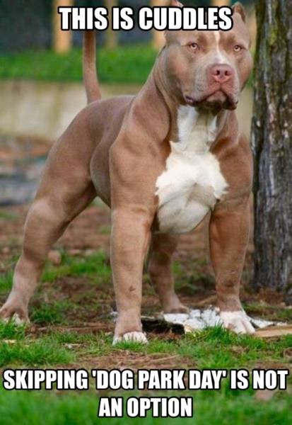 Bildschirmarbeiter - Picdump 10.11.2017