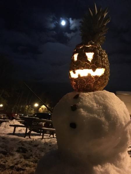 Bildschirmarbeiter - Picdump 10.11.2017