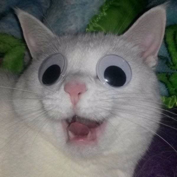 Bildschirmarbeiter - Picdump 10.11.2017