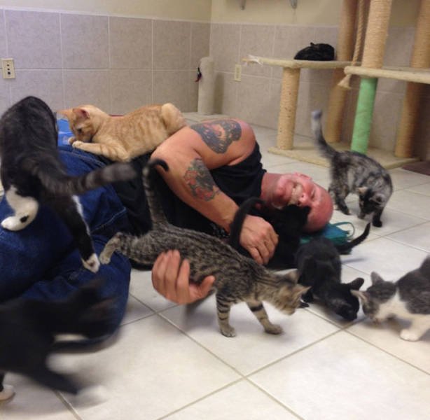 Bildschirmarbeiter - Picdump 10.11.2017