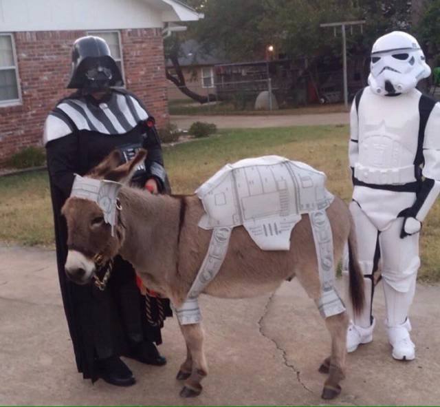 Bildschirmarbeiter - Picdump 17.11.2017