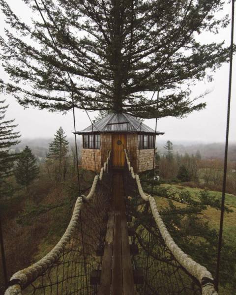 Bildschirmarbeiter - Picdump 17.11.2017