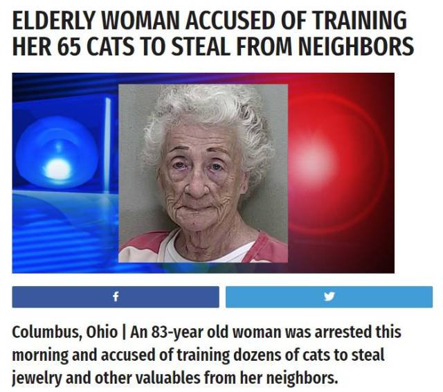 Bildschirmarbeiter - Picdump 17.11.2017