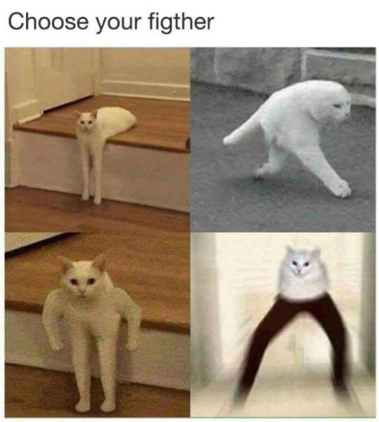 Bildschirmarbeiter - Picdump 17.11.2017