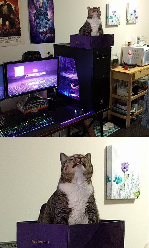 Bildschirmarbeiter - Picdump 17.11.2017