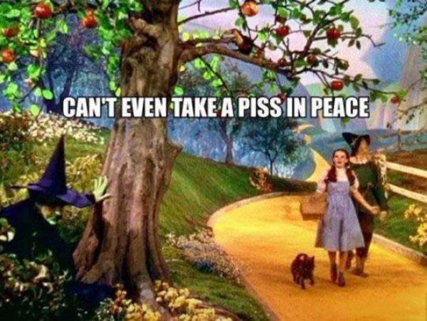 Bildschirmarbeiter - Picdump 17.11.2017