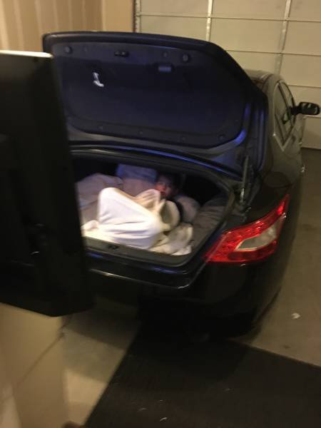 Bildschirmarbeiter - Picdump 17.11.2017