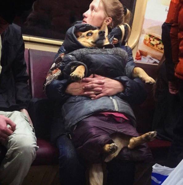 Bildschirmarbeiter - Picdump 17.11.2017