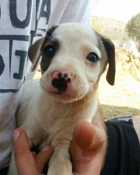 Bildschirmarbeiter - Picdump 17.11.2017