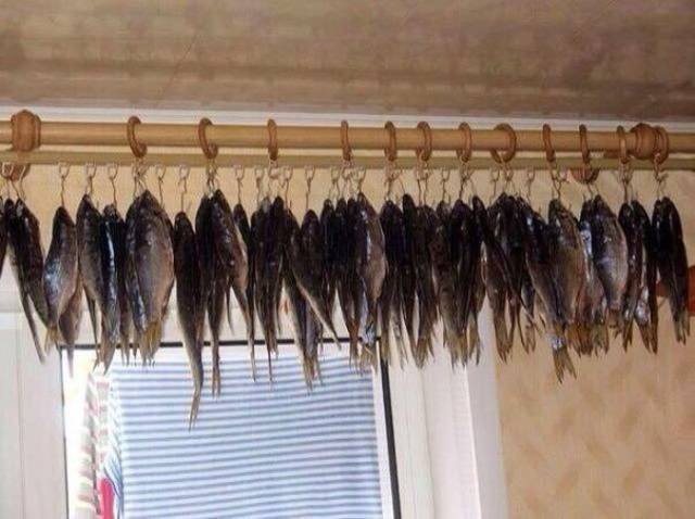 Bildschirmarbeiter - Picdump 17.11.2017