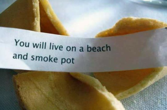 Bildschirmarbeiter - Picdump 24.11.2017