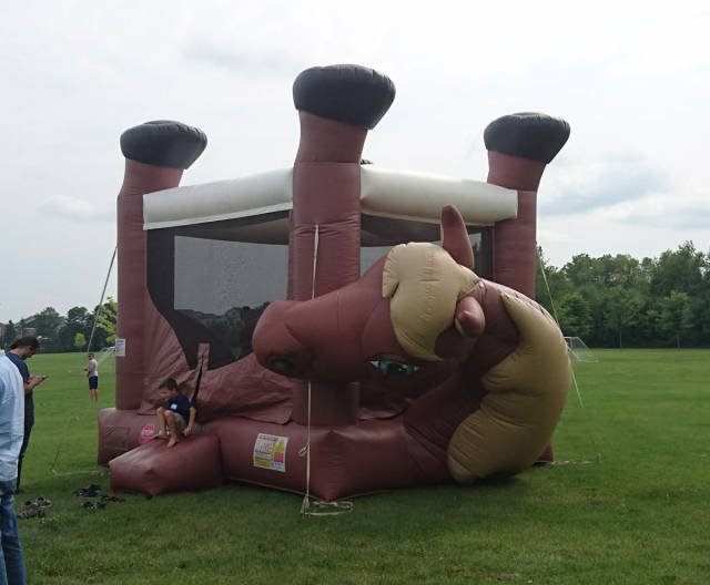 Bildschirmarbeiter - Picdump 24.11.2017