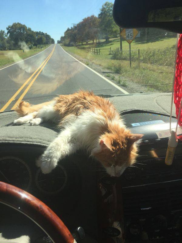 Bildschirmarbeiter - Picdump 24.11.2017