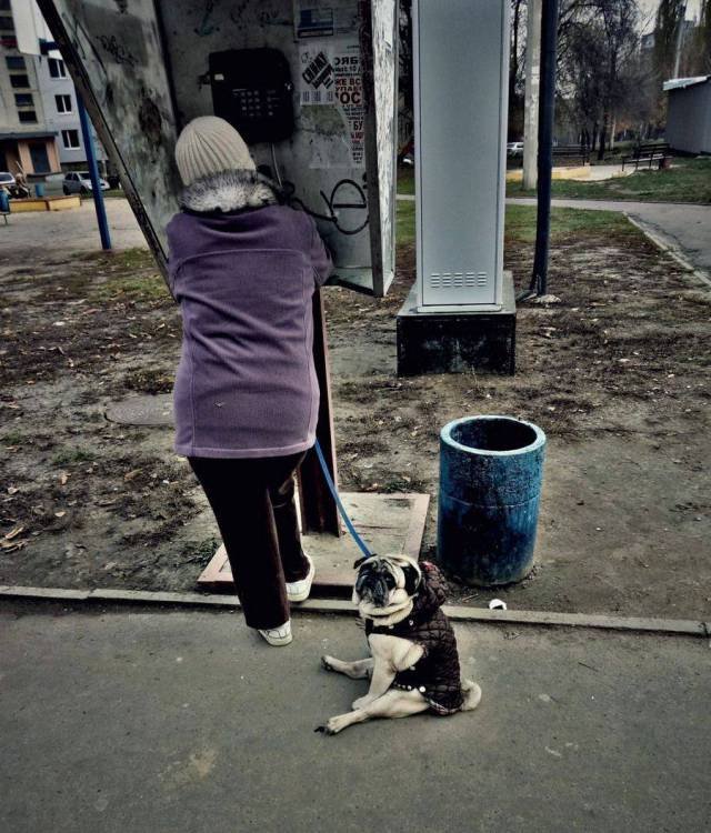 Bildschirmarbeiter - Picdump 24.11.2017