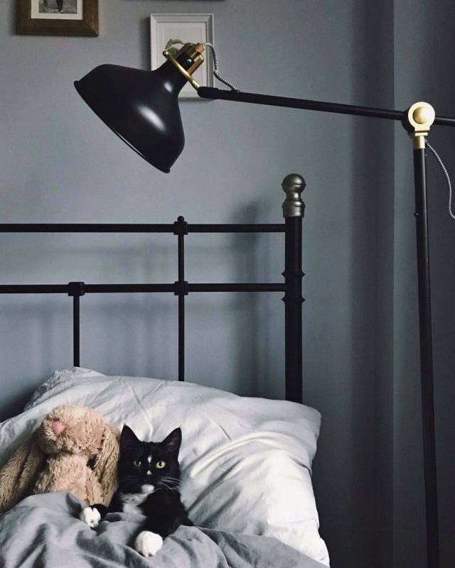 Bildschirmarbeiter - Picdump 24.11.2017