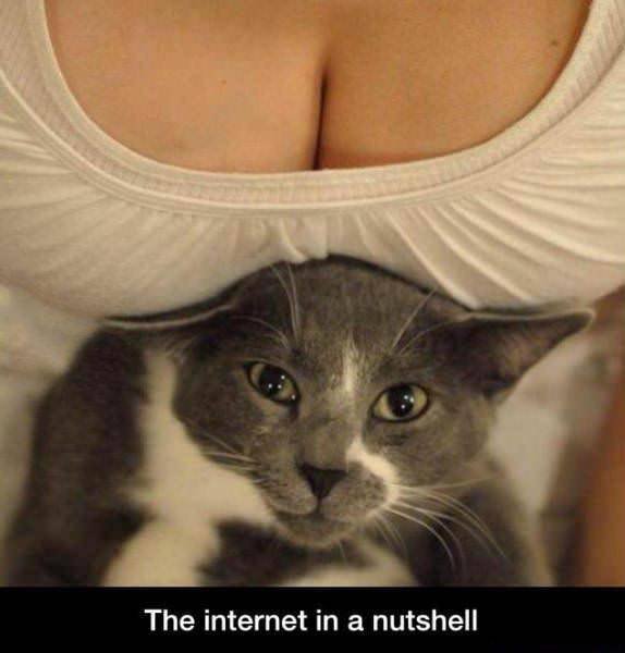 Bildschirmarbeiter - Picdump 24.11.2017