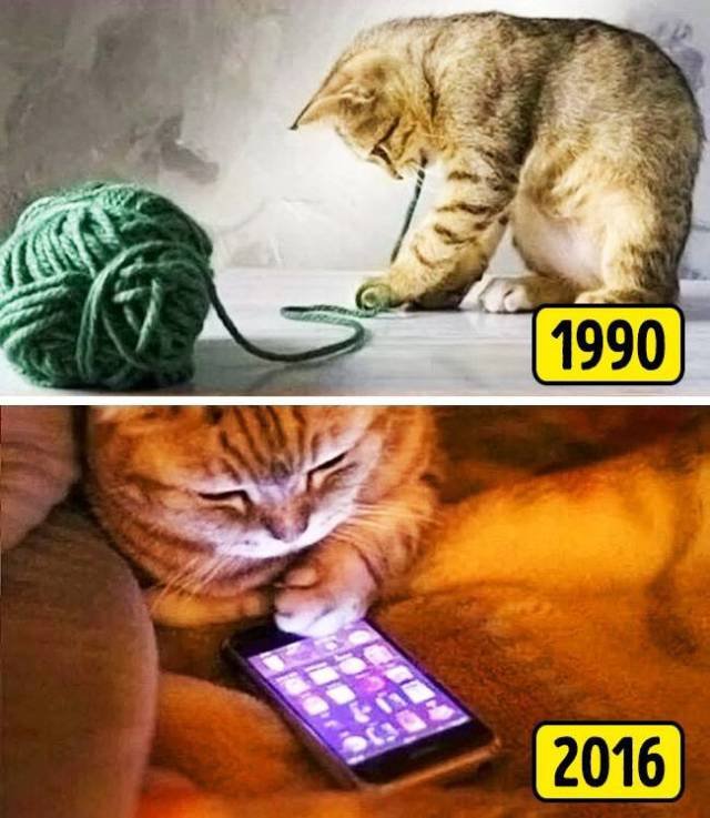 Bildschirmarbeiter - Picdump 24.11.2017