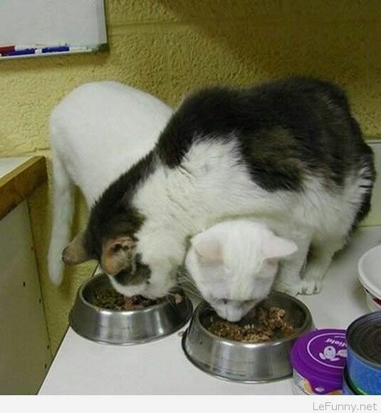 Bildschirmarbeiter - Picdump 24.11.2017