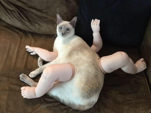 Bildschirmarbeiter - Picdump 24.11.2017