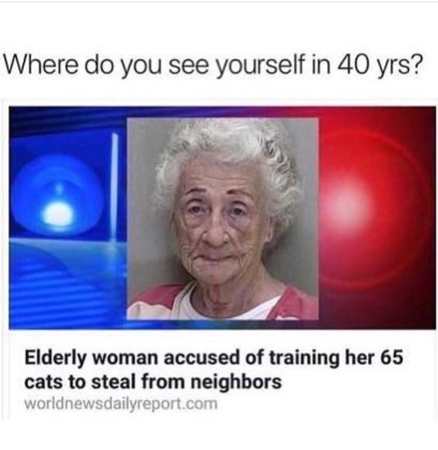 Bildschirmarbeiter - Picdump 08.12.2017