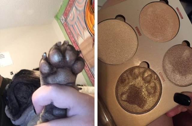 Bildschirmarbeiter - Picdump 08.12.2017