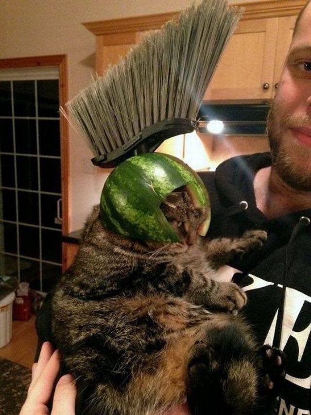 Bildschirmarbeiter - Picdump 08.12.2017