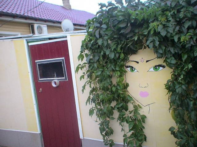 Bildschirmarbeiter - Picdump 08.12.2017