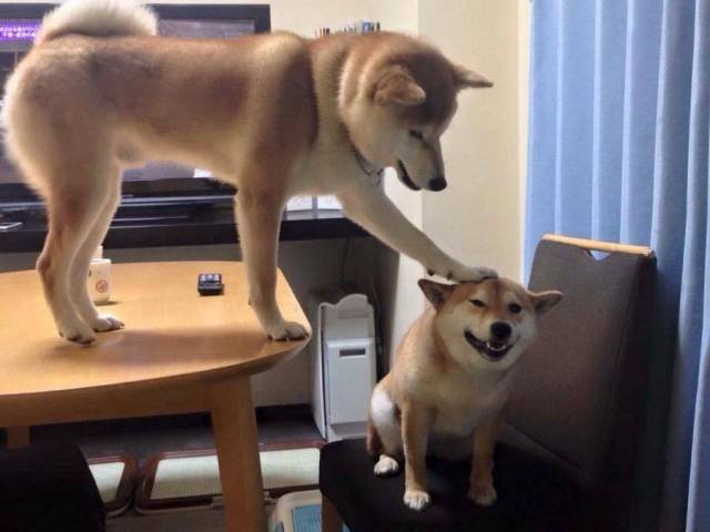 Bildschirmarbeiter - Picdump 08.12.2017