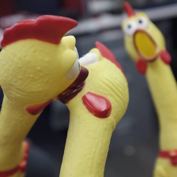 Bildschirmarbeiter - Picdump 08.12.2017