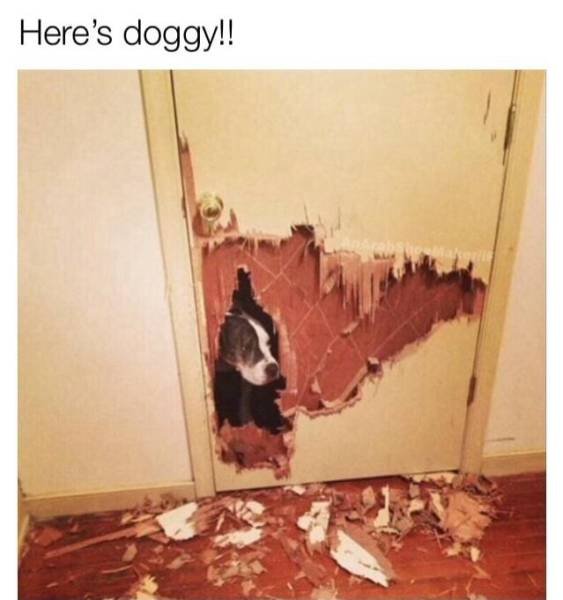 Bildschirmarbeiter - Picdump 08.12.2017