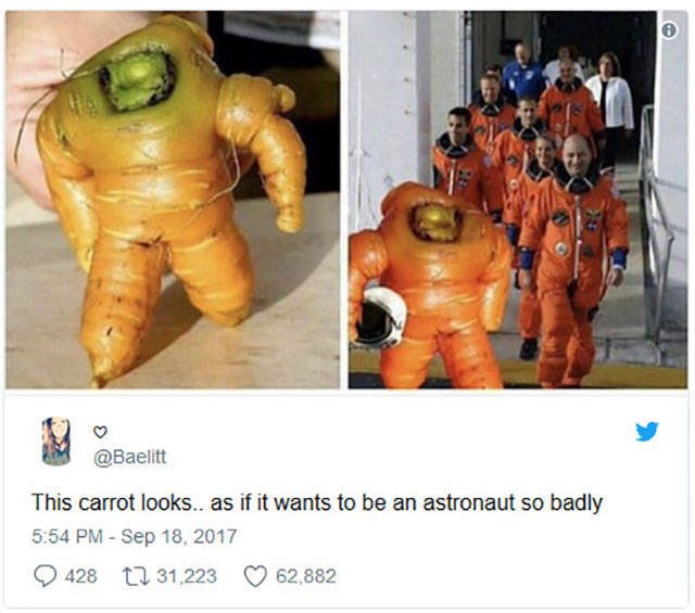 Bildschirmarbeiter - Picdump 08.12.2017