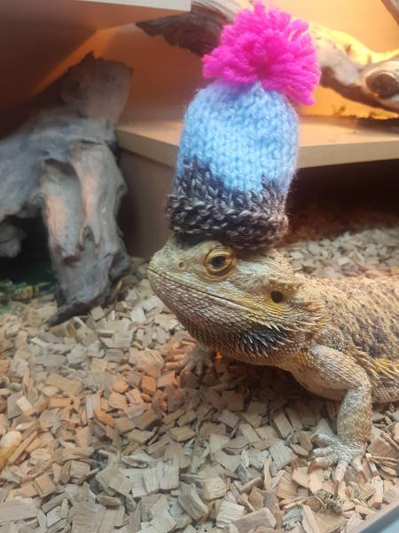 Bildschirmarbeiter - Picdump 08.12.2017