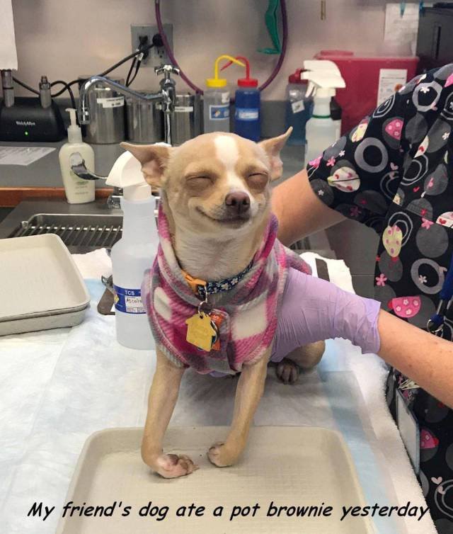 Bildschirmarbeiter - Picdump 15.12.2017