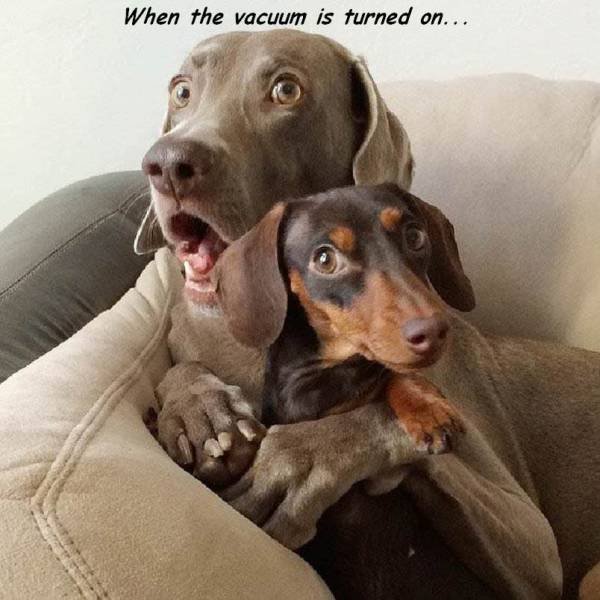 Bildschirmarbeiter - Picdump 15.12.2017