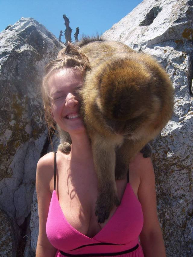 Bildschirmarbeiter - Picdump 22.12.2017