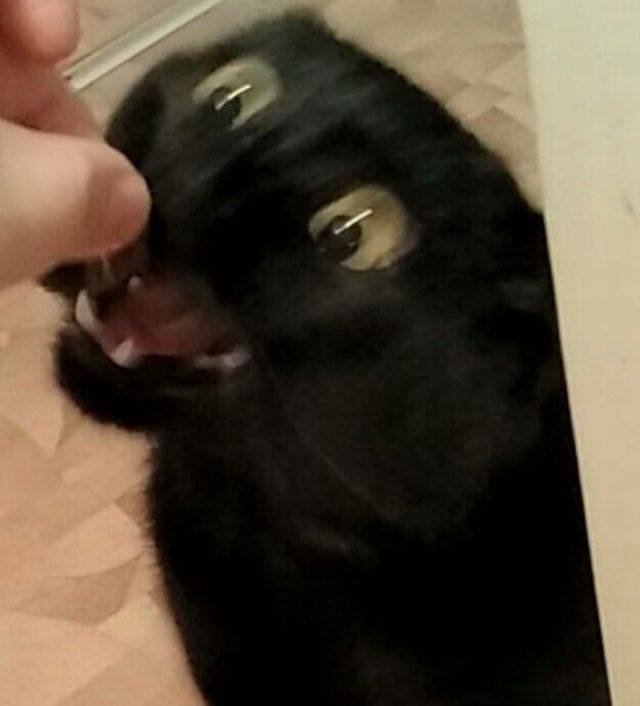 Bildschirmarbeiter - Picdump 22.12.2017