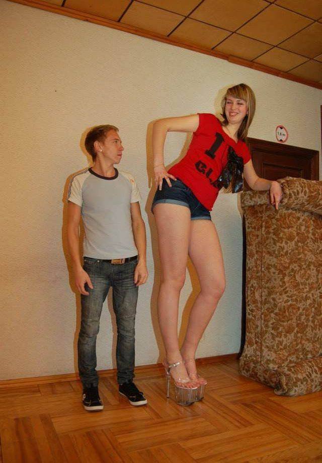 Bildschirmarbeiter - Picdump 22.12.2017