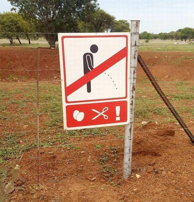 Bildschirmarbeiter - Picdump 22.12.2017