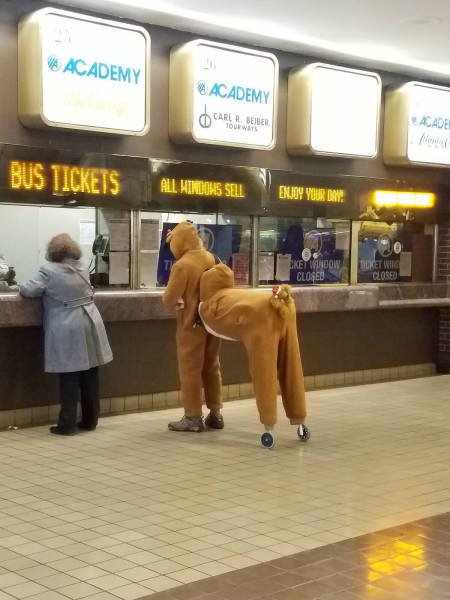 Bildschirmarbeiter - Picdump 22.12.2017