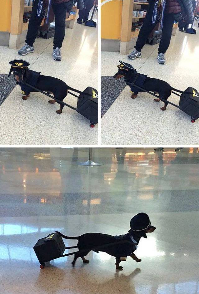 Bildschirmarbeiter - Picdump 22.12.2017