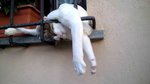 Bildschirmarbeiter - Picdump 22.12.2017