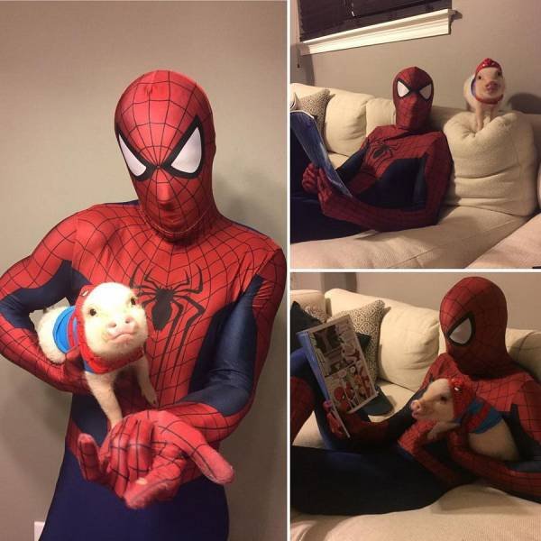 Bildschirmarbeiter - Picdump 29.12.2017