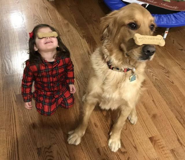 Bildschirmarbeiter - Picdump 29.12.2017