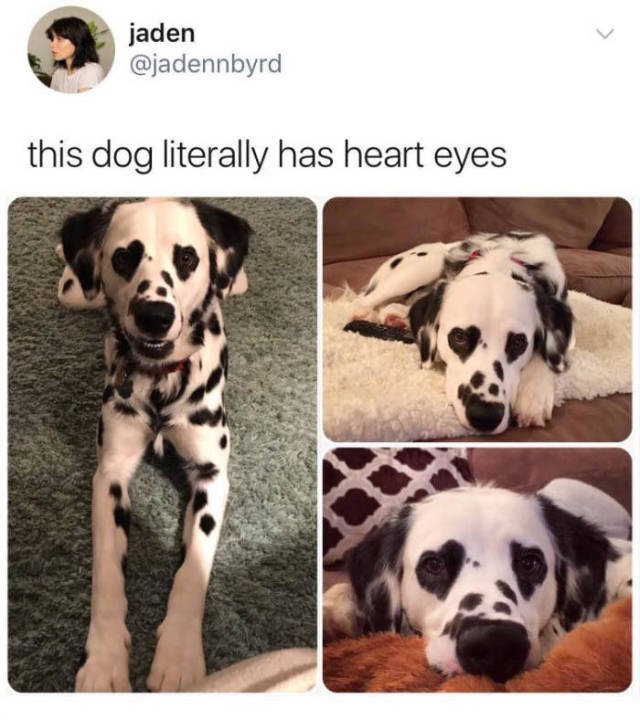 Bildschirmarbeiter - Picdump 29.12.2017